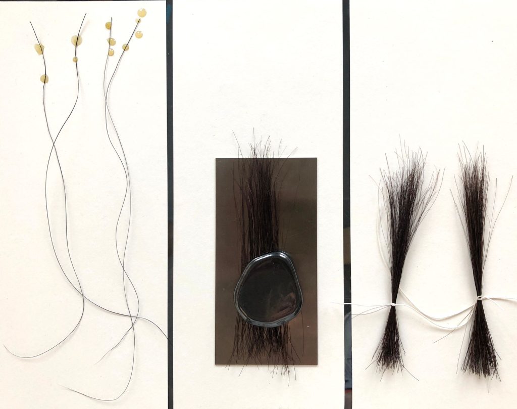 Collection of pony hair arranged on paper with glue, magnet, steel and thread.
