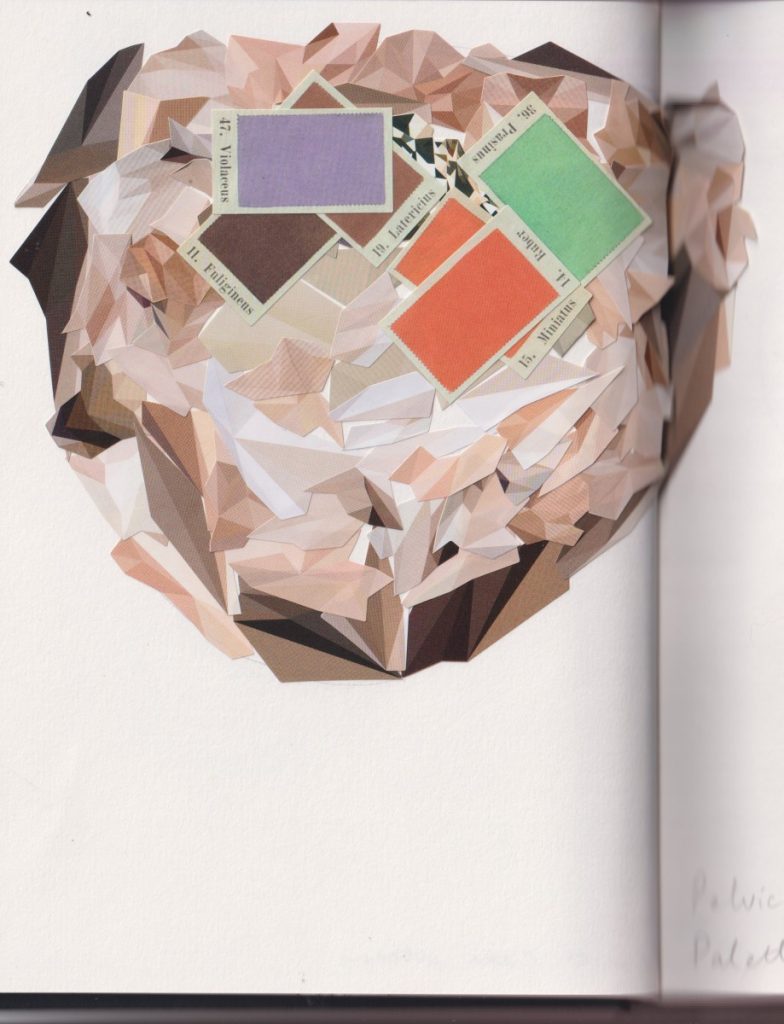Globular shape created from various different colours